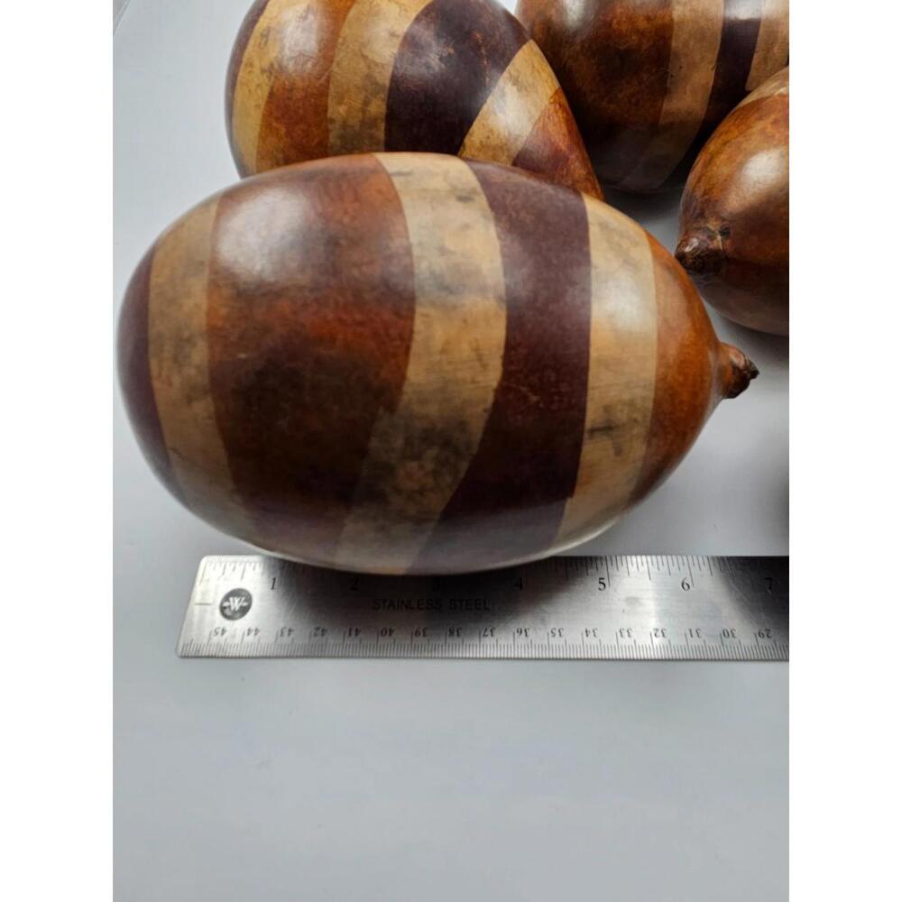 5 Large African Hollow Gourd Rattle Shakers Natural Earth Tones Bowl Fillers - Picture 2 of 9